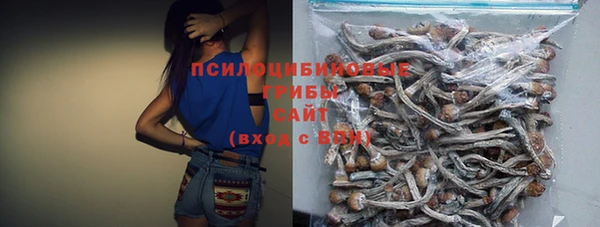 скорость Ладушкин