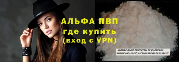 PSILOCYBIN Лагань