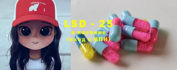 PSILOCYBIN Лагань