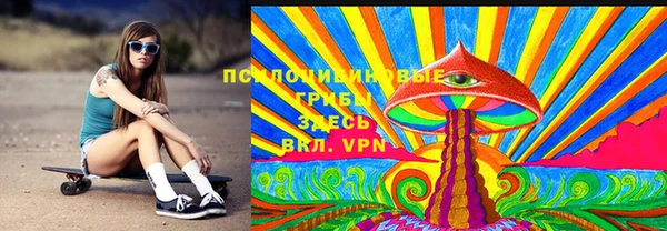 PSILOCYBIN Лагань