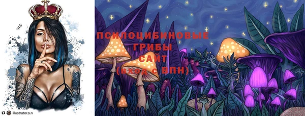 скорость Ладушкин
