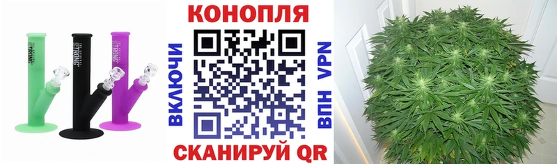 даркнет Telegram  Людиново  Шишки марихуана Amnesia 